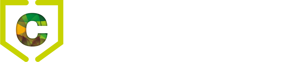 Leading Facility Management Company in Dubai | Cleaning, Security & MEP Services