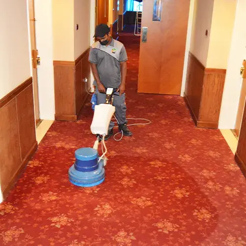 Carpet Or Sofa Cleaning Service